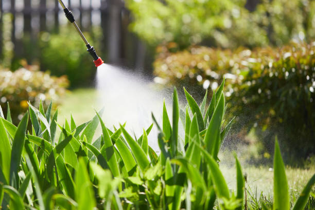 24/7 Emergency Wasp Removal experts in Lake Ripley, WI