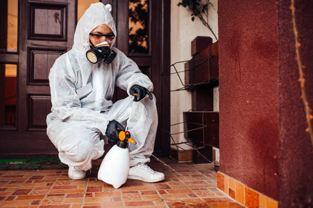 Reliable Wasp Removal contractor in Lake Ripley, WI by Show Me Pest Control